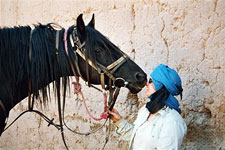 Morocco-Morocco-Magic of the Sahara